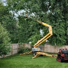 Best Lawn Watering Services  in Mattydale, NY