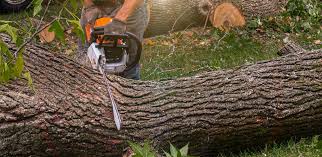 Best Lawn Mowing  in Mattydale, NY