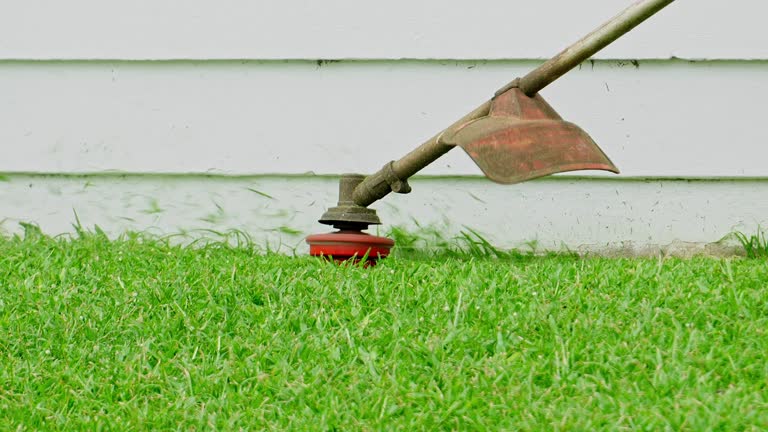 How Our Tree Care Process Works  in  Mattydale, NY